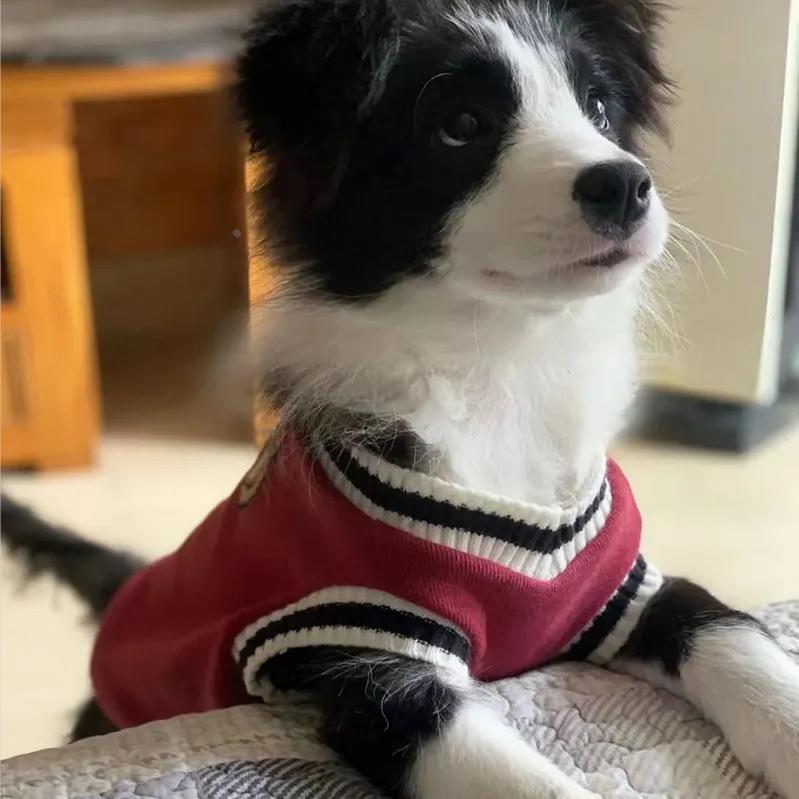 ++边牧衣服秋冬季装大狗狗金毛拉布拉多柴犬中型犬大型犬秋幼犬宠