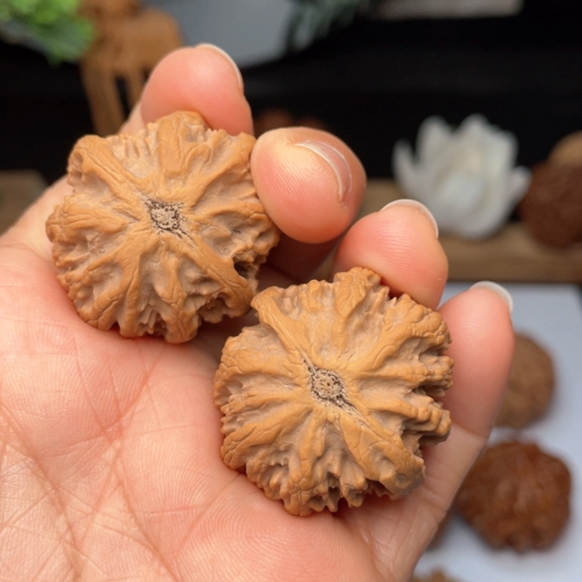 【闪购商品】桃核吊坠用****838