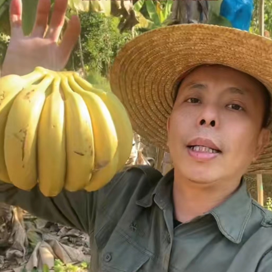 德庆高良本地农家香蕉10斤广东包邮