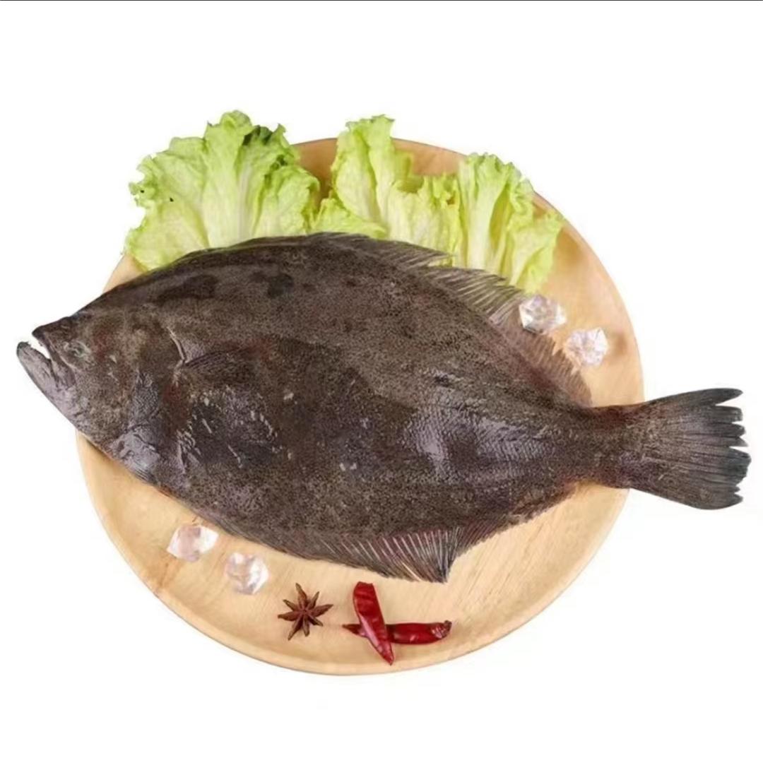 【深海渔夫】比目鱼 压片鱼