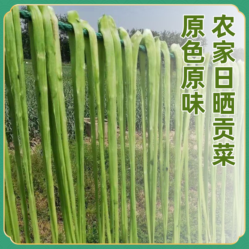 安徽涡阳贡菜干80g*3包（净含量70g）新鲜脆嫩凉拌炒肉刷火锅新货 图片 3