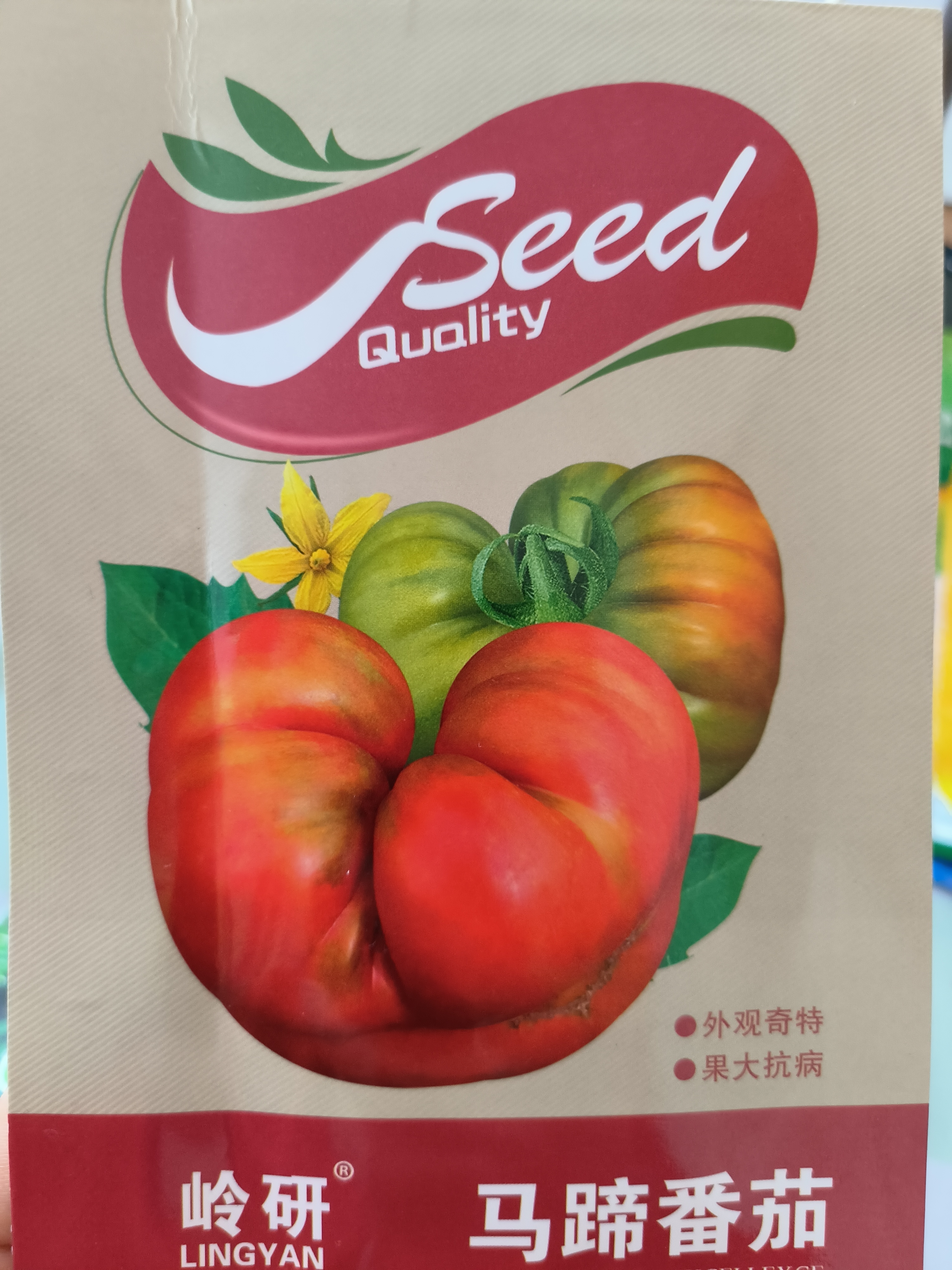 马蹄番茄种子（小时候的味道）