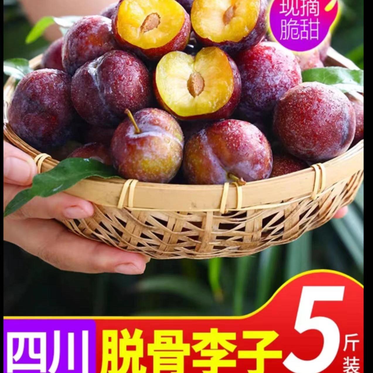 【脱骨李】脆红李四川眉山现摘现发新鲜应季水果果园直发脆爽多汁