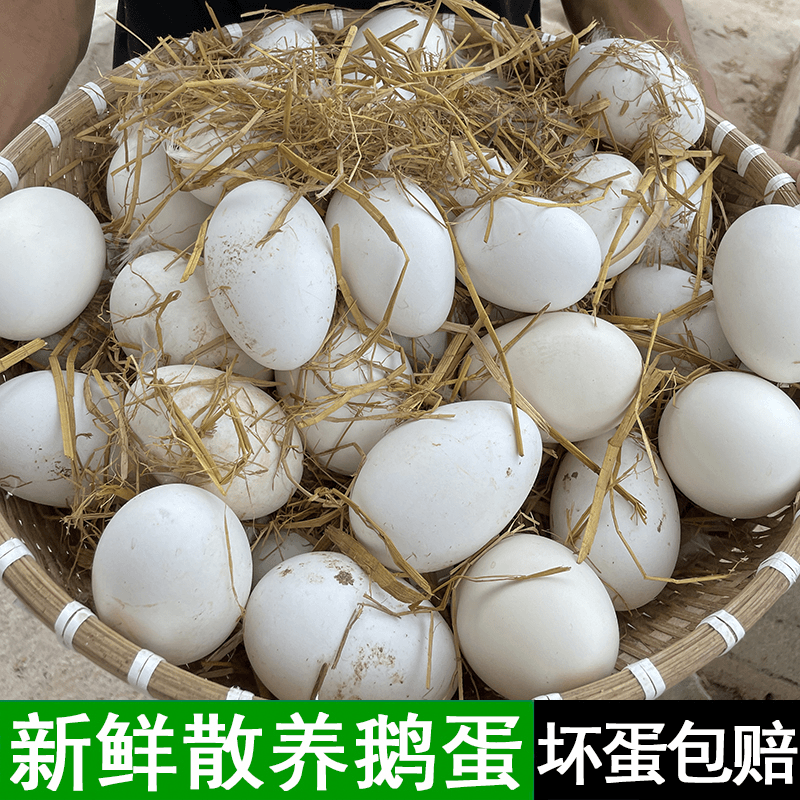 【放鹅娃家】现捡现发新鲜散养鹅蛋一箱12枚单枚重120g左右
