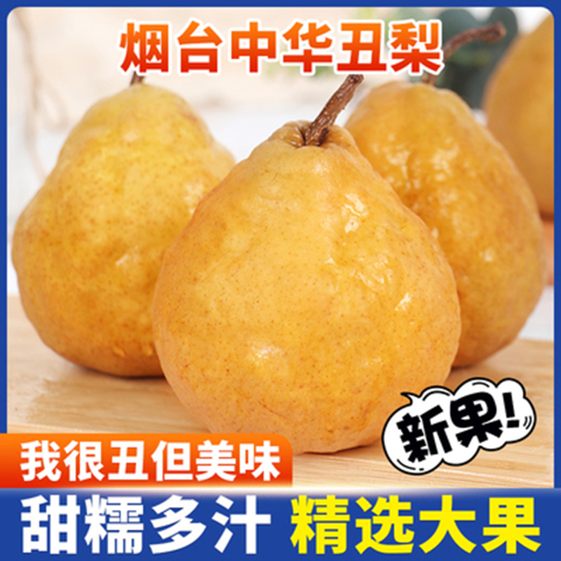 【软糯多汁】放软吃中华丑梨正宗烟台新鲜太婆莱阳啤梨大果水果
