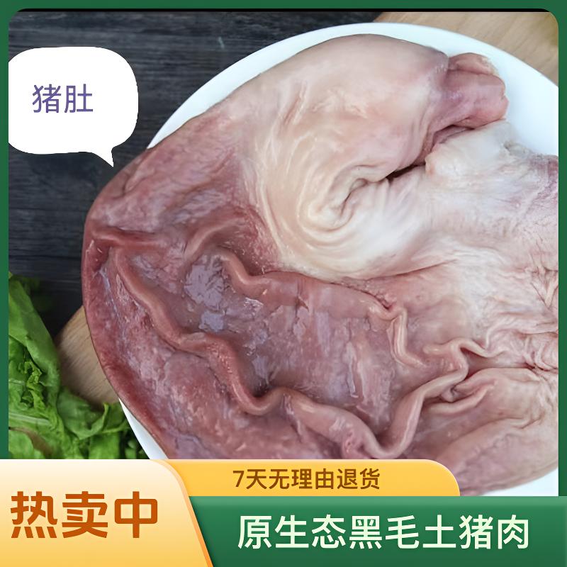 贵州农家新鲜土猪肉 新鲜猪肚精洗干净1.6斤
