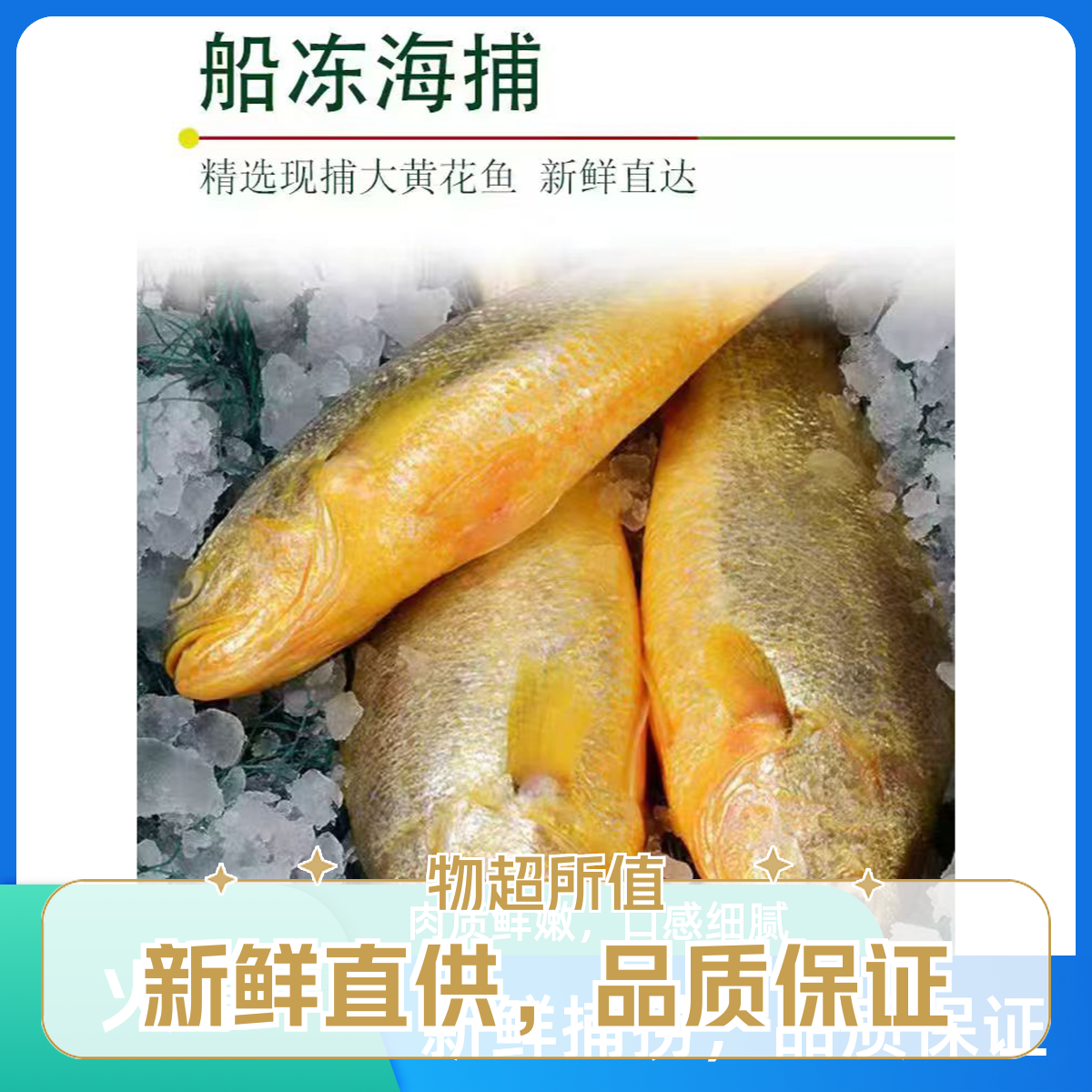 新鲜深海黄花鱼冰鲜大黄花鱼冷冻大黄鱼速冻发货【每条1.1到1.3斤】