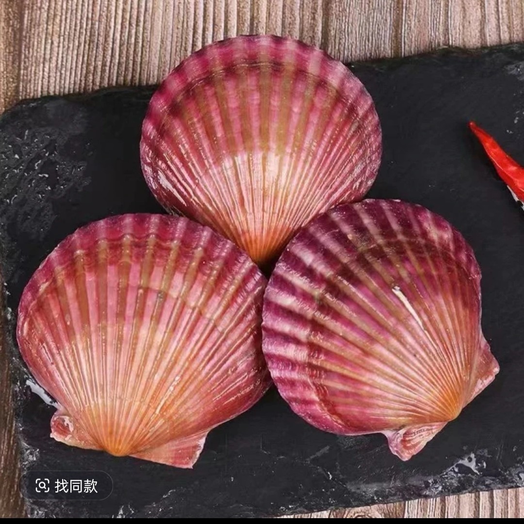 鲜活小红扇贝3斤（小时达配送）