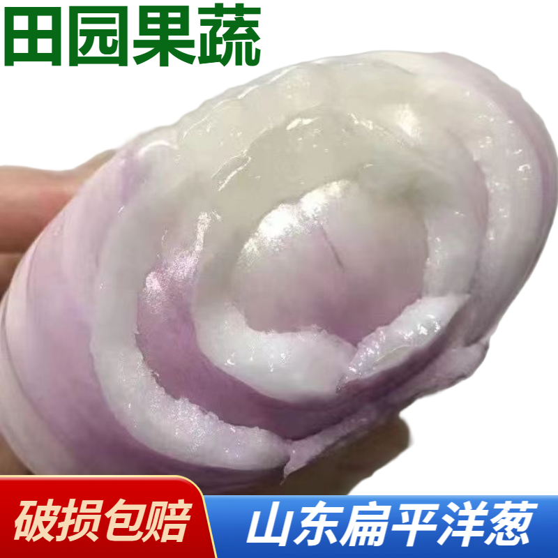水果扁洋葱新鲜扁洋葱可生吃水果扁平洋葱微辣微甜汁水5斤装香辣
