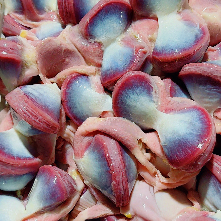 二年老鹅胗净重5斤30个左右有嚼头越多越香散养溜达鹅鹅胗包邮