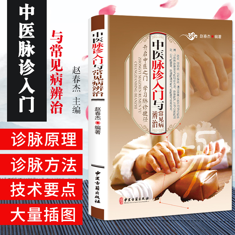 中医脉诊入门与常见病辨治 中医诊脉书 把脉自学