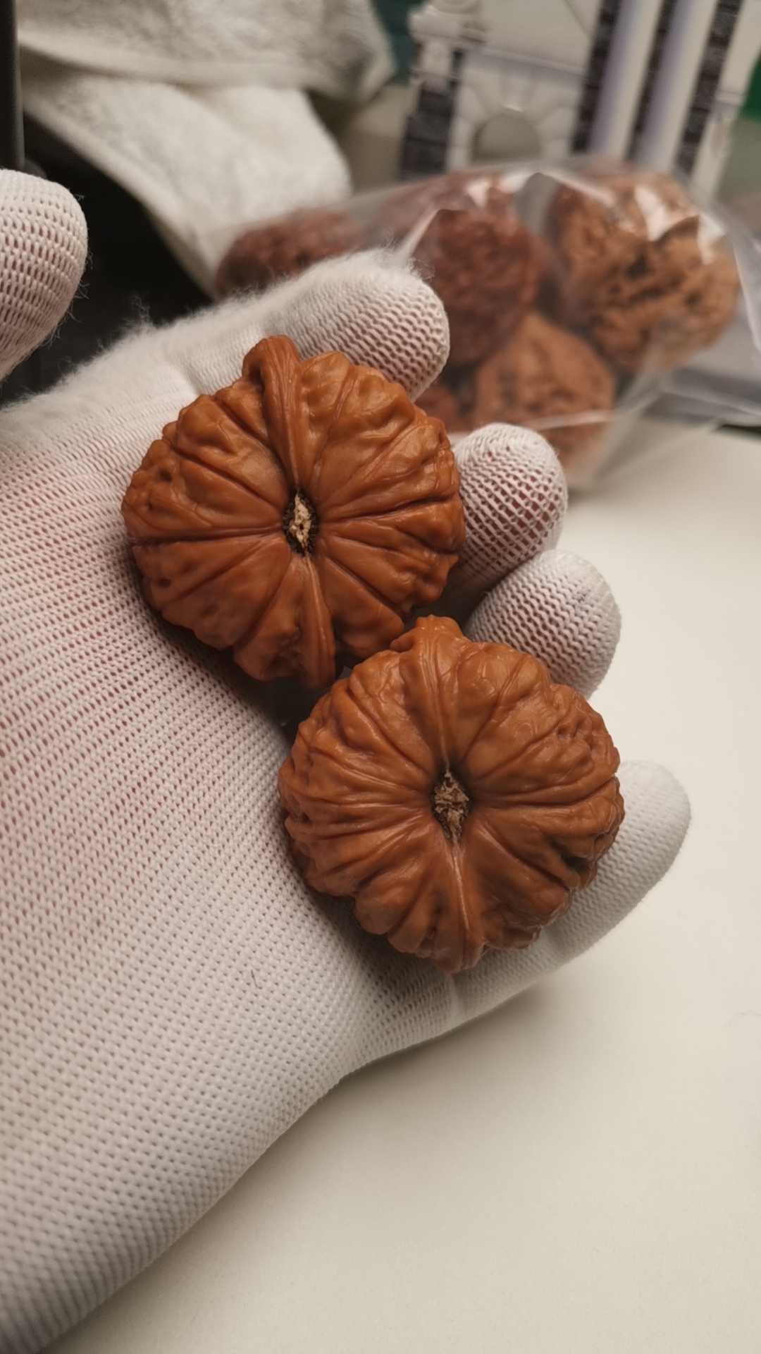 46南瓜堆全品无修