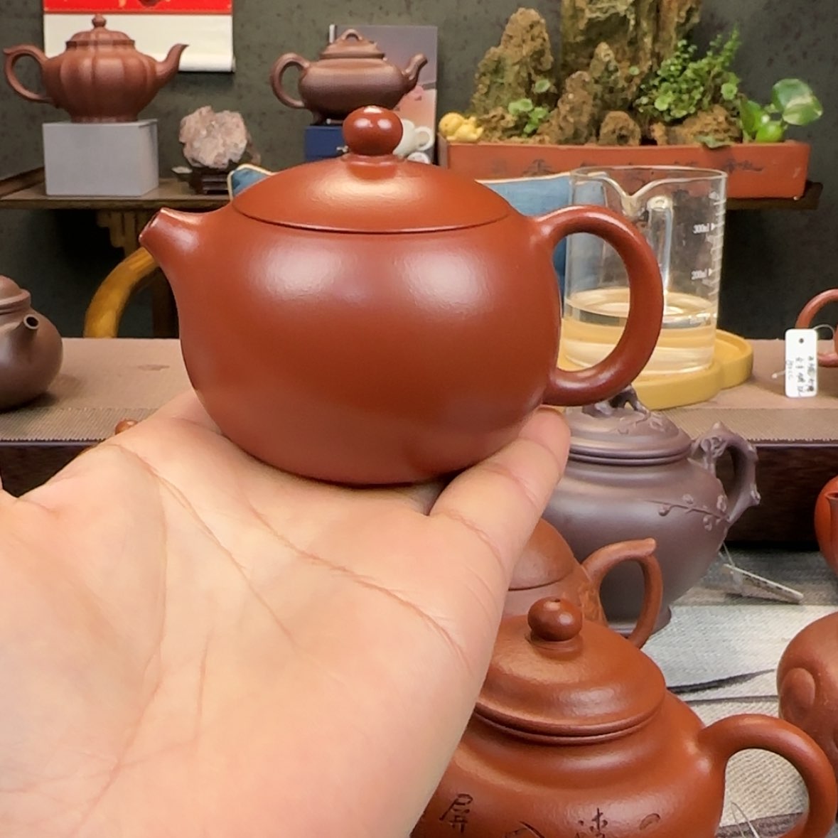【闪购商品】紫砂茶壶