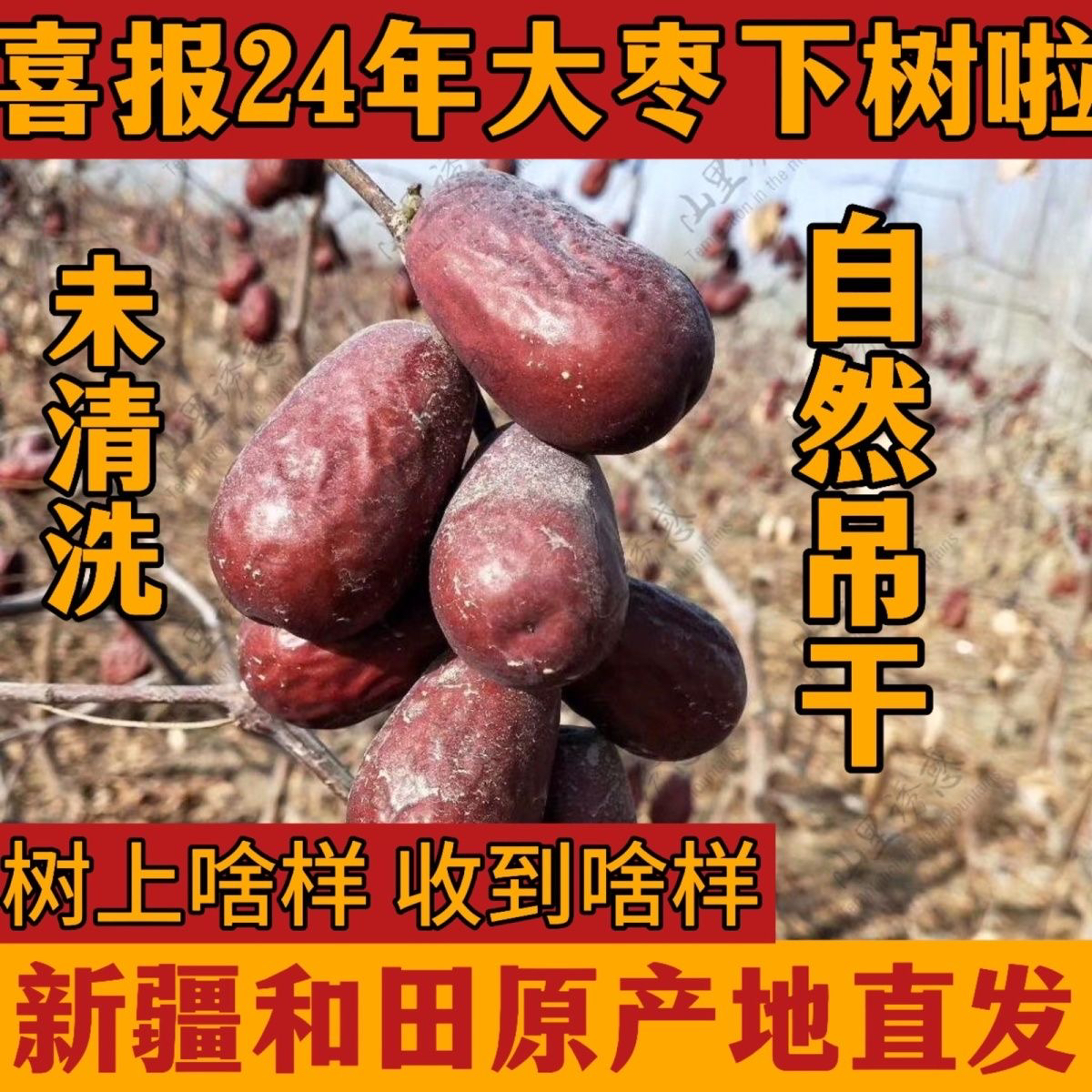 新货和田小混级大枣五斤带土不清洗2.7-4厘米（个别掉皮介意慎拍）