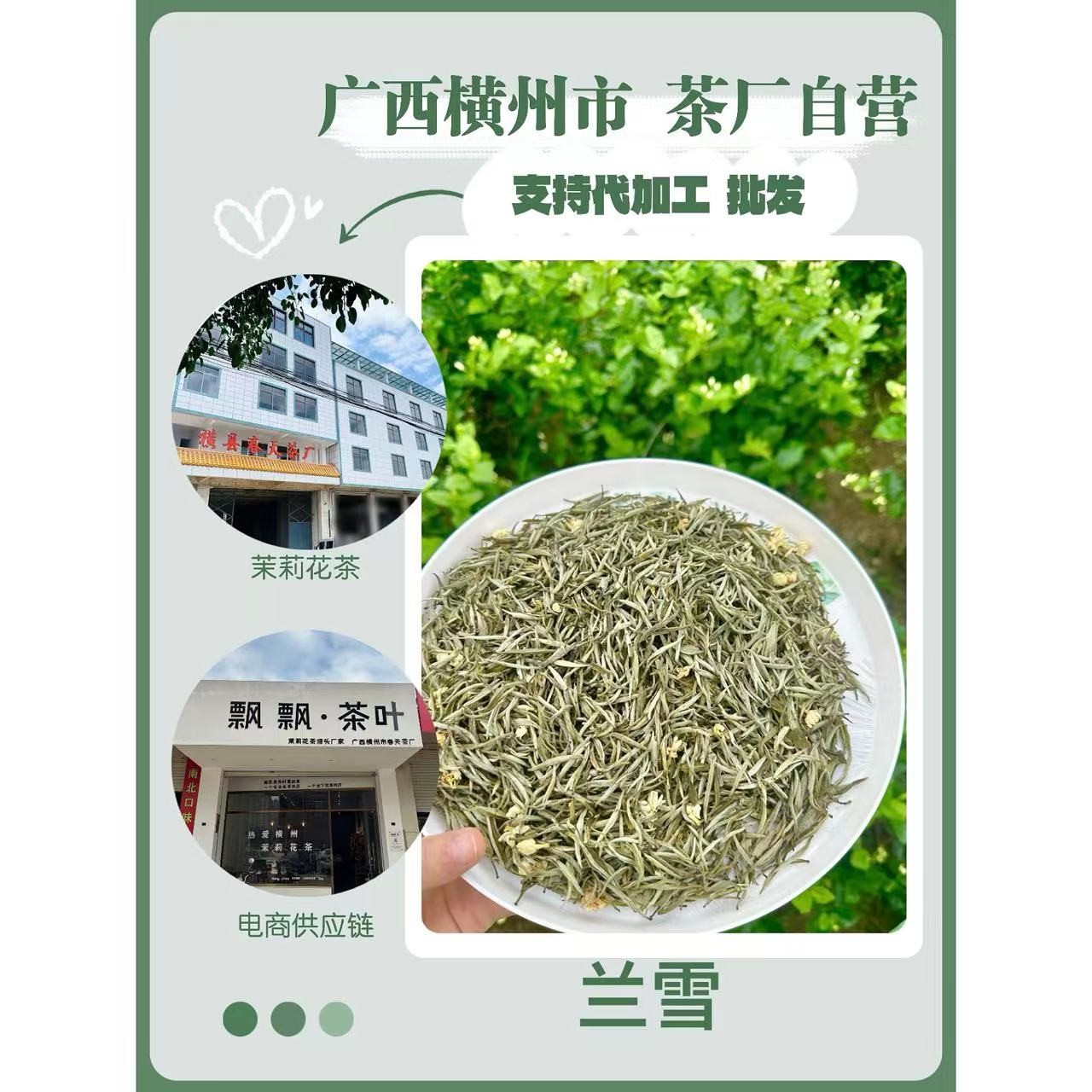 吴飘飘/茉莉兰雪广西横县厂家茉莉花茶五窨200g