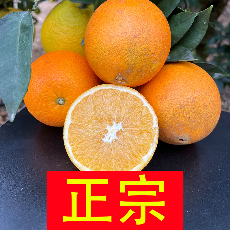 【10斤装】正宗赣南脐橙果径60~90mm生态果新鲜果赣南赣州产地直发商品图