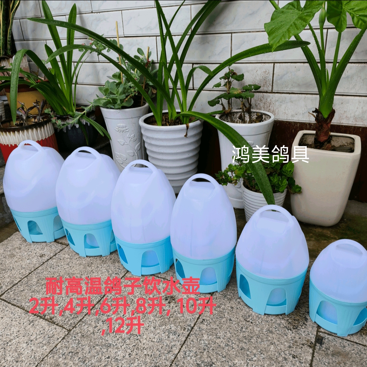 鸽子饮水壶,耐高温,可装热水,大提手。