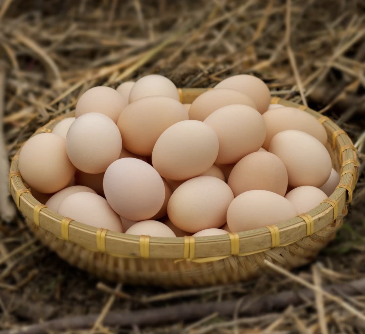 跑山鸡蛋正宗散养土鸡蛋
