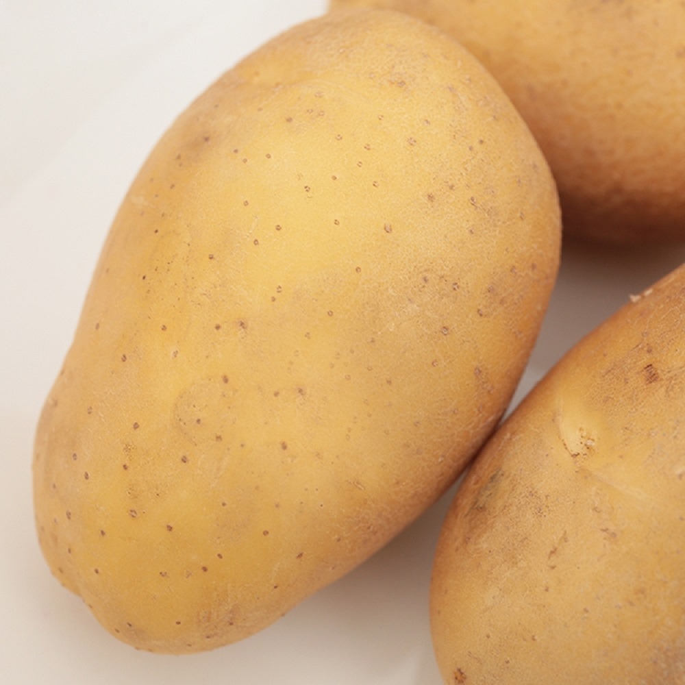 黄心土豆 约1kg/份