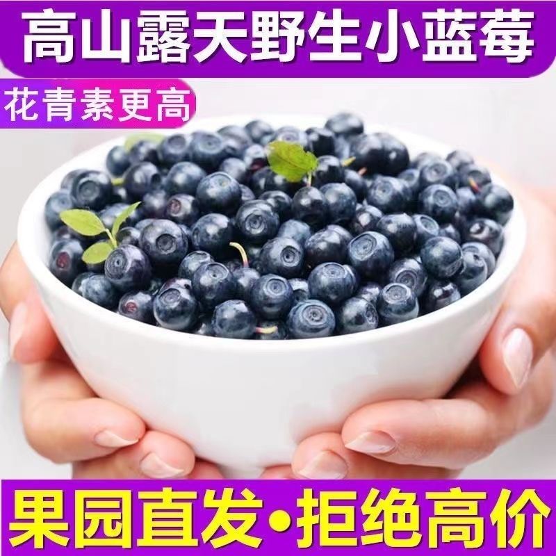 【蓝莓大果】【全店商品满60包邮】西藏专营