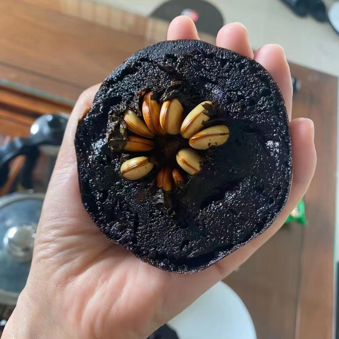 巧克力布丁黑柿树苗 一年多季节结果 口感软糯香甜