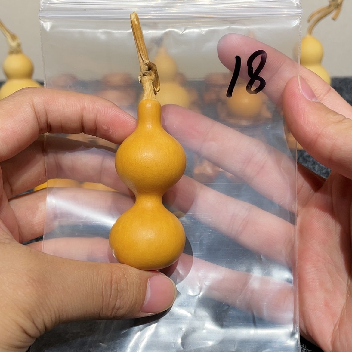 【闪购商品】天然葫芦旭*