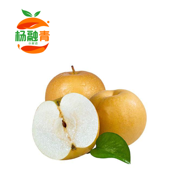 【匠心级】秋月梨一只