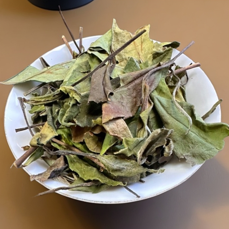 2023年福建高山茶山林留枞荒野茶群体种小菜茶奶香枞韵白茶甜