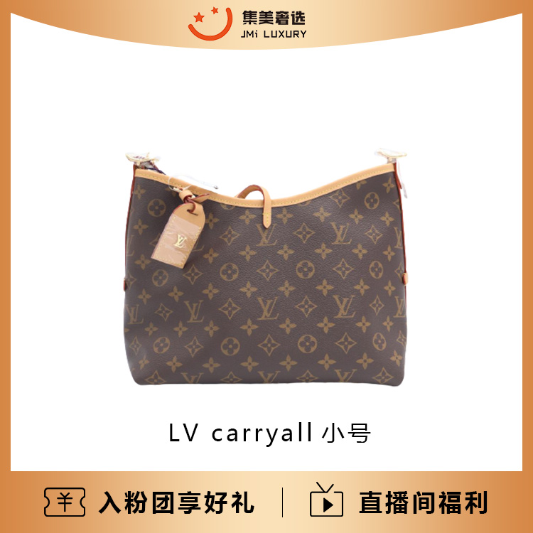 99新 LouisVuitton/路易威登 carryall小号老花时尚包/AM2055