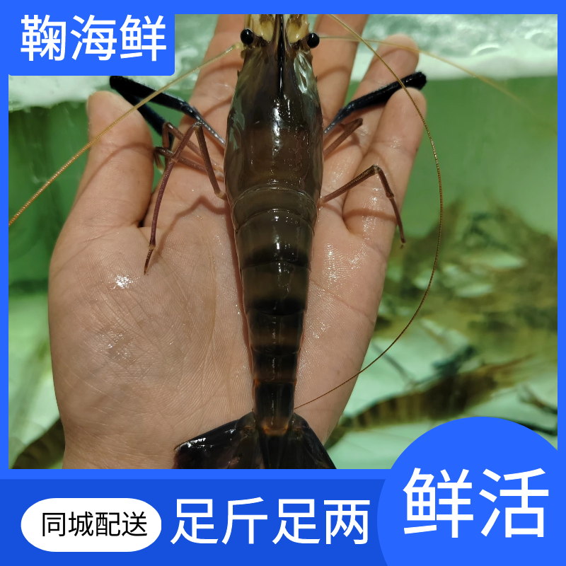 罗氏沼虾/斤【天气热、配送过程中会出现个别死亡、介意勿拍】