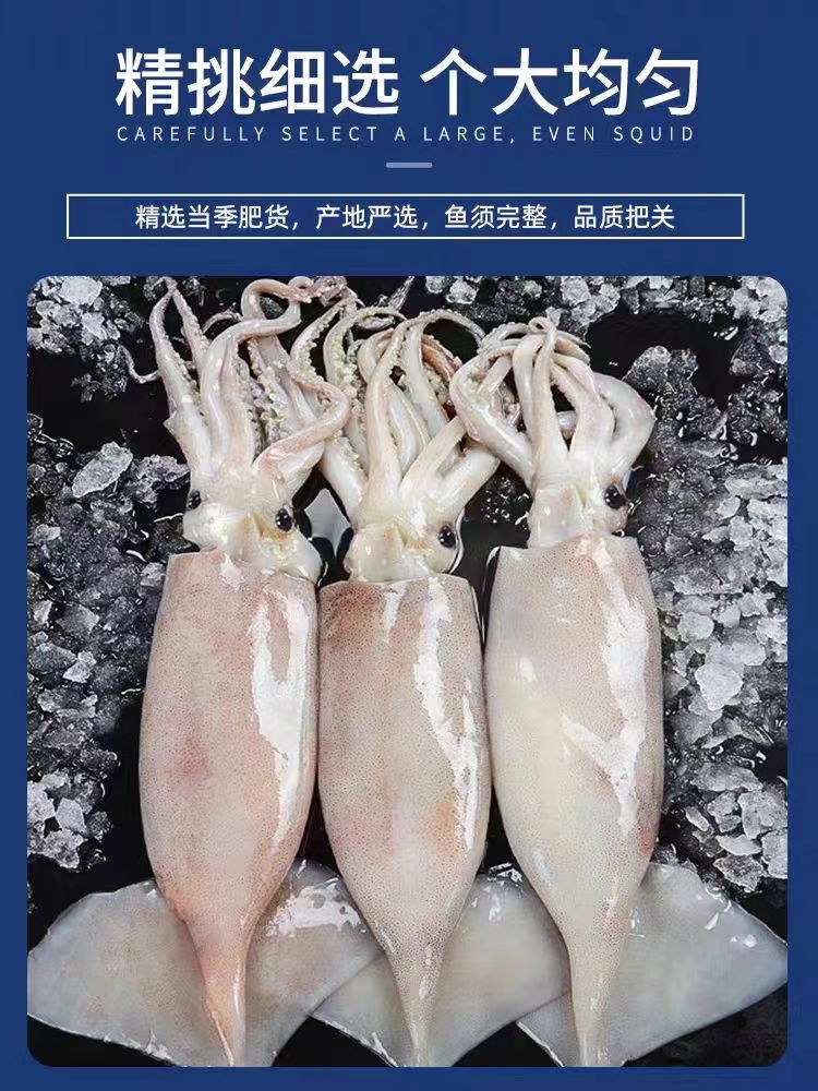 新鲜海浦大鱿鱼不带冰衣净重4斤，去牙去皮去内脏鲜活速冻严选肉质