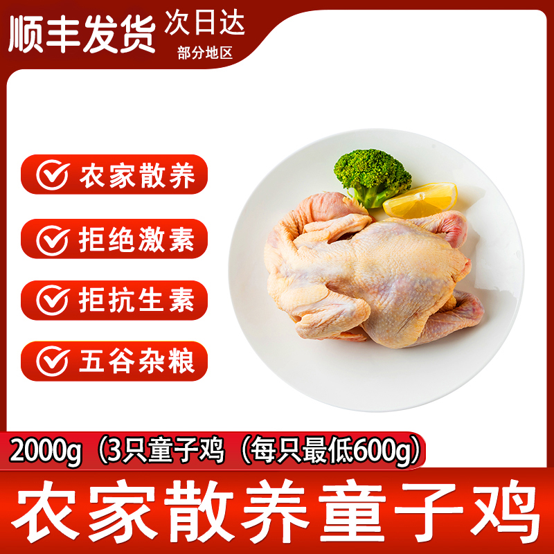 山野云陵农场散养农家童子鸡(胗,肝,心,都在)正宗谷饲高山土鸡