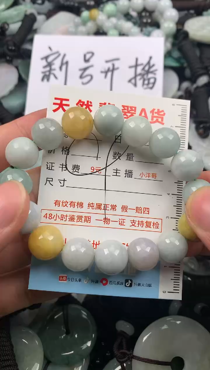 【闪购商品】翡翠颈饰未镶嵌1