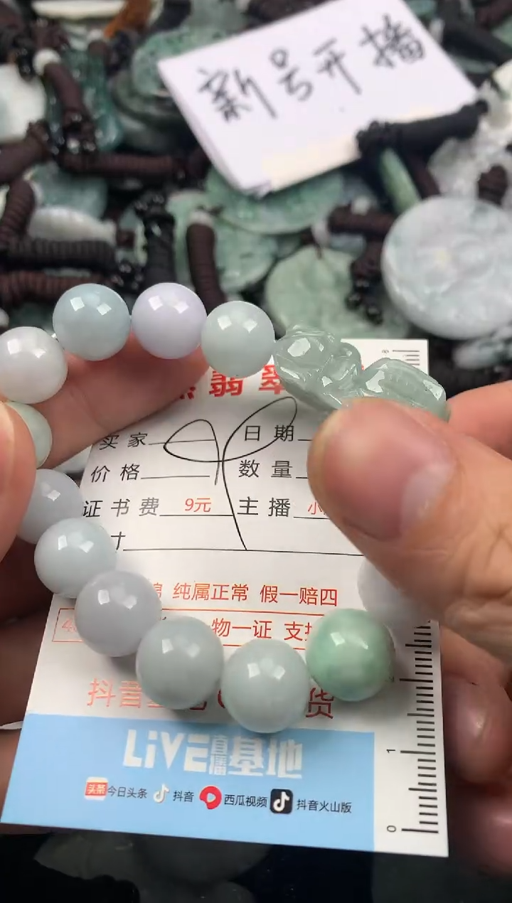 【闪购商品】翡翠颈饰未镶嵌1