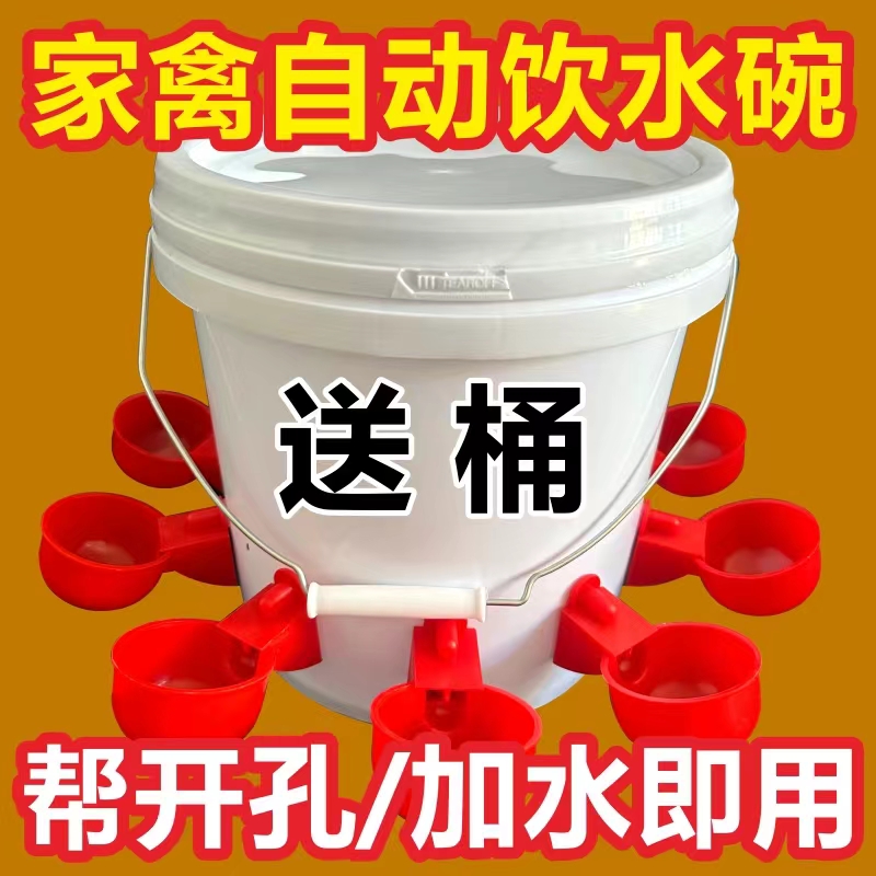 家禽饮水器全自动新款喂鸡自动饮水器鸡鸭鸽子饮水碗养殖水桶
