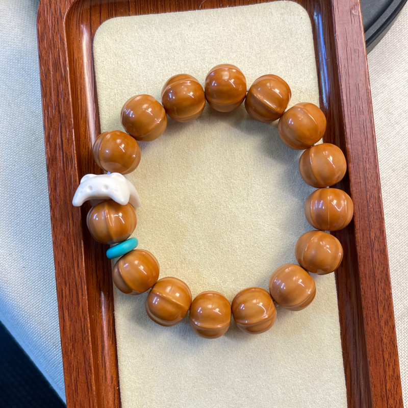 猴头鲨鱼背搭配趴趴猫隔片