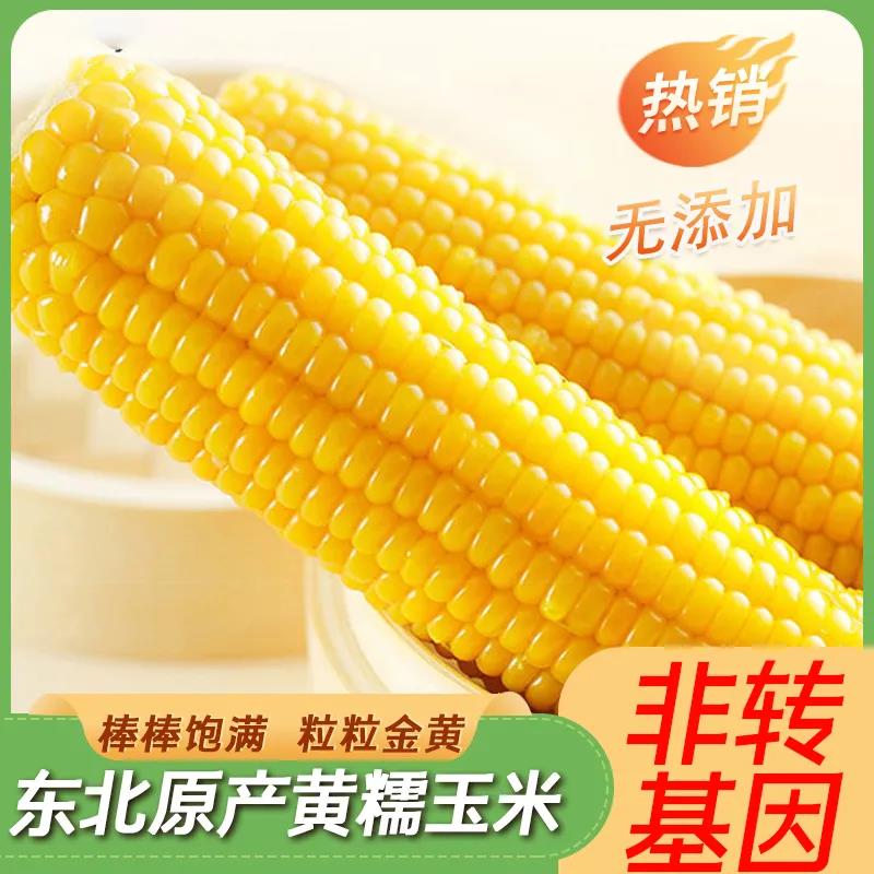 【亲耕】即食鲜嫩脱皮玉米粒辅食甜糯水果玉米果肉60g*10袋脆甜W