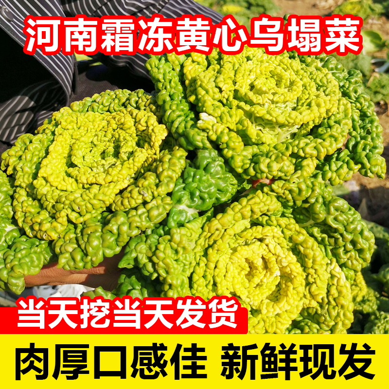 2斤黄心菜
