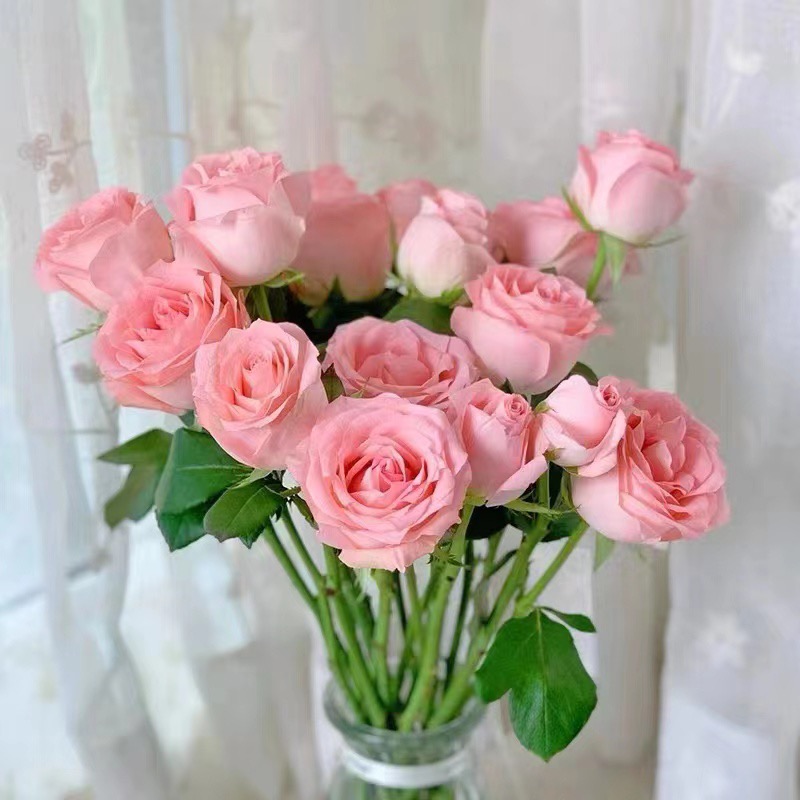 2024秋冬新款韩版女装