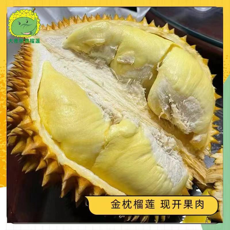 【坪山】纯果肉（1.3斤）A级金枕榴莲 新鲜现开 深圳小时达【大象树熟榴莲】