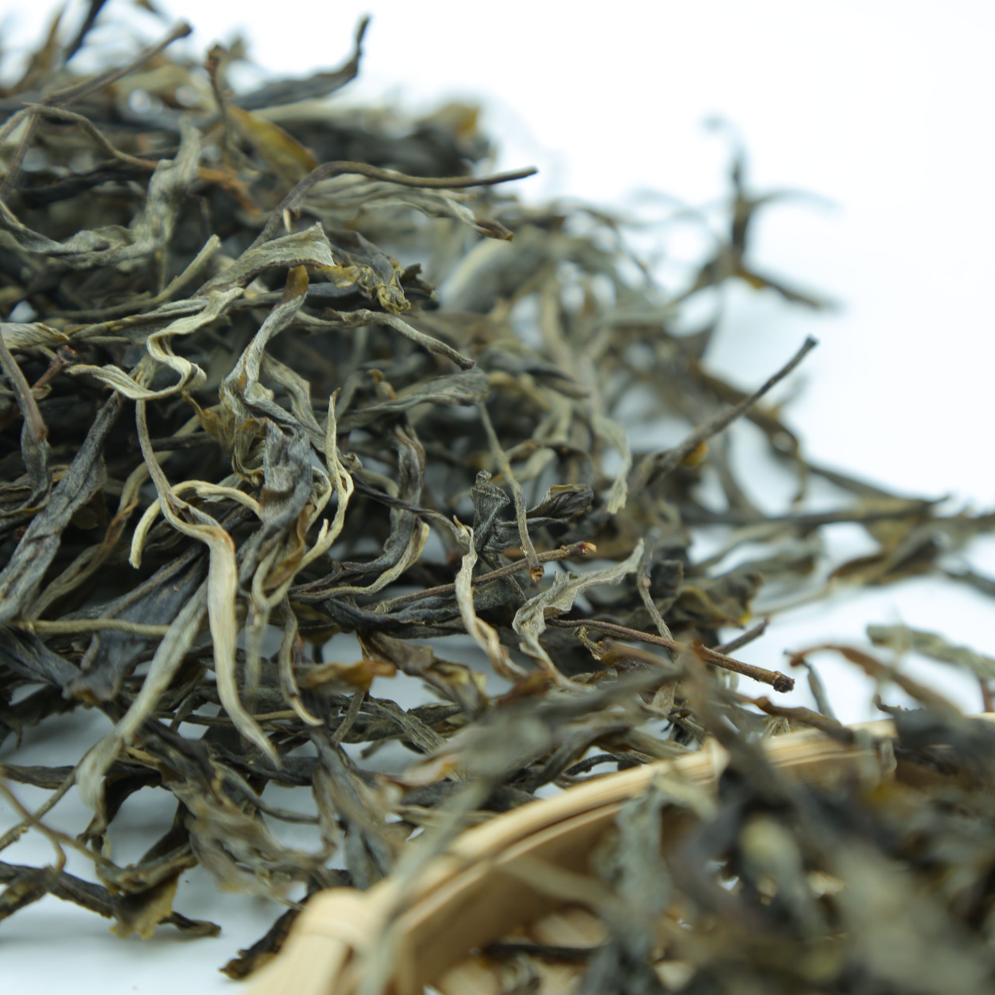 2023年小荒田古树挑采普洱生茶散茶50克--【18号】