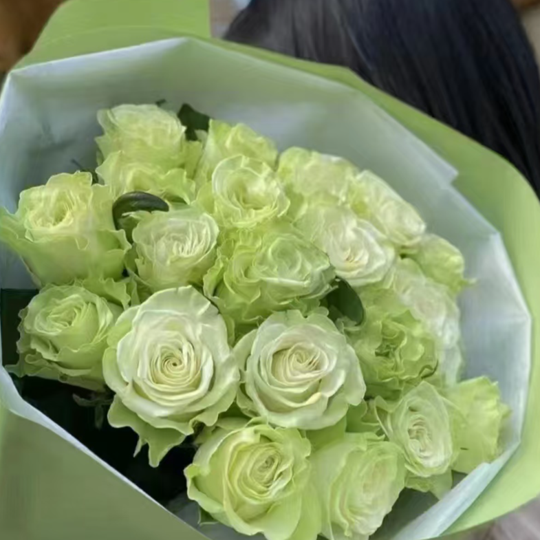 小乔玫瑰【收到花一定要醒花,不会的请联系客服】