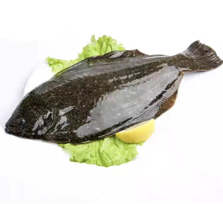 新鲜野生石夹子鱼鲽鱼净重5斤连云港发货