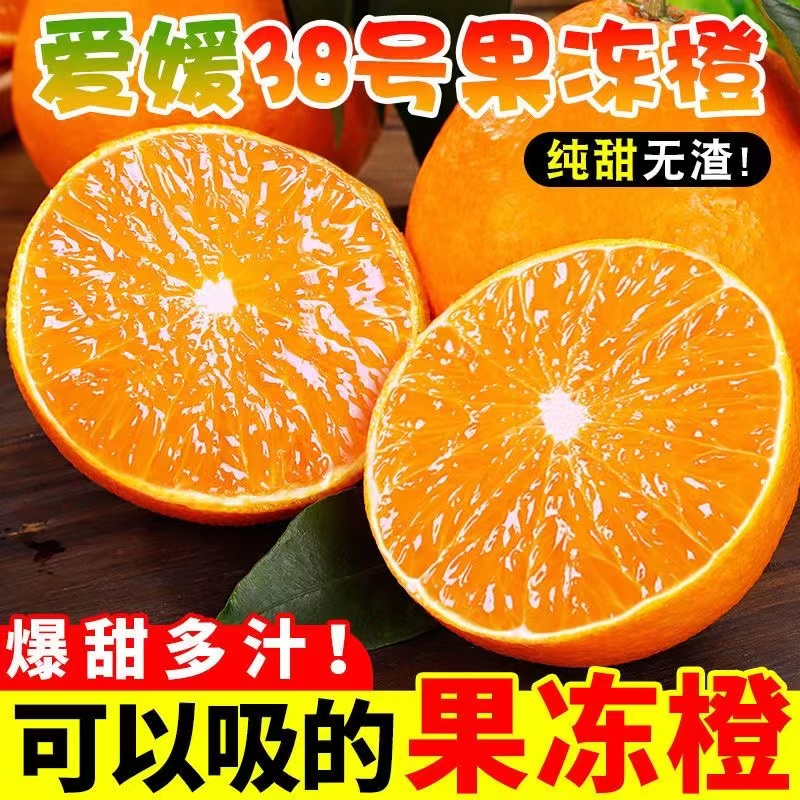 【与辉同行东方甄选】正宗四川爱媛果冻橙5-8斤装 新鲜应季橙子直