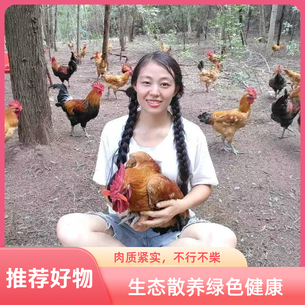 农村林下散养粮食跑山鸡生态健康味道鲜美肉质紧实正宗农村土货