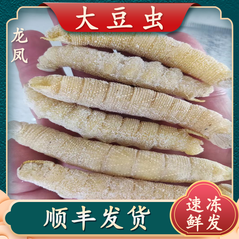 豆虫大豆丹速冻豆虫山东豆虫特产豆虫顺丰豆虫活豆虫速冻山东豆虫