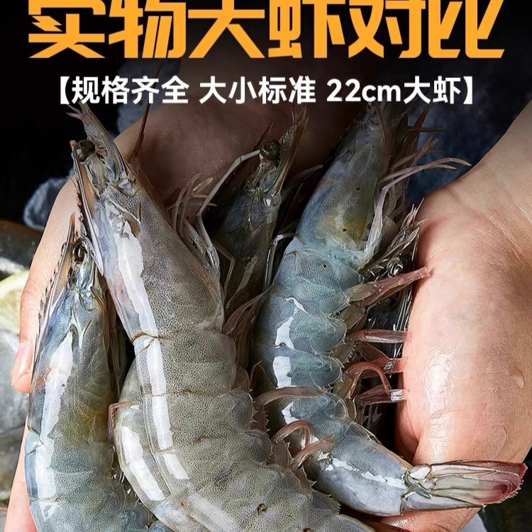 大奔家 活虾速冻20-30规格  3.3斤/盒