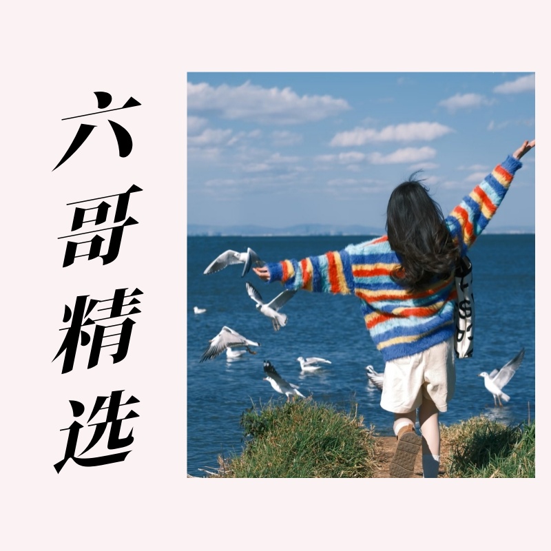 蛋宝精选 301-350 对应编号拍下即可 连衣裙