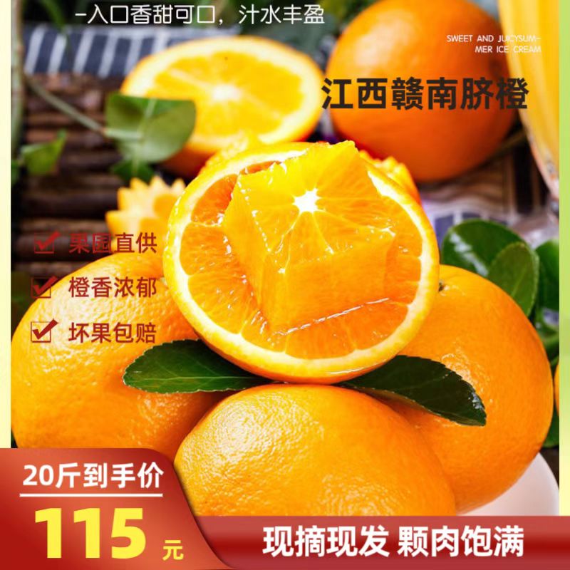 【适合送礼】赣南早脐橙现摘现发当季新鲜水果大果果园直供 20斤/箱