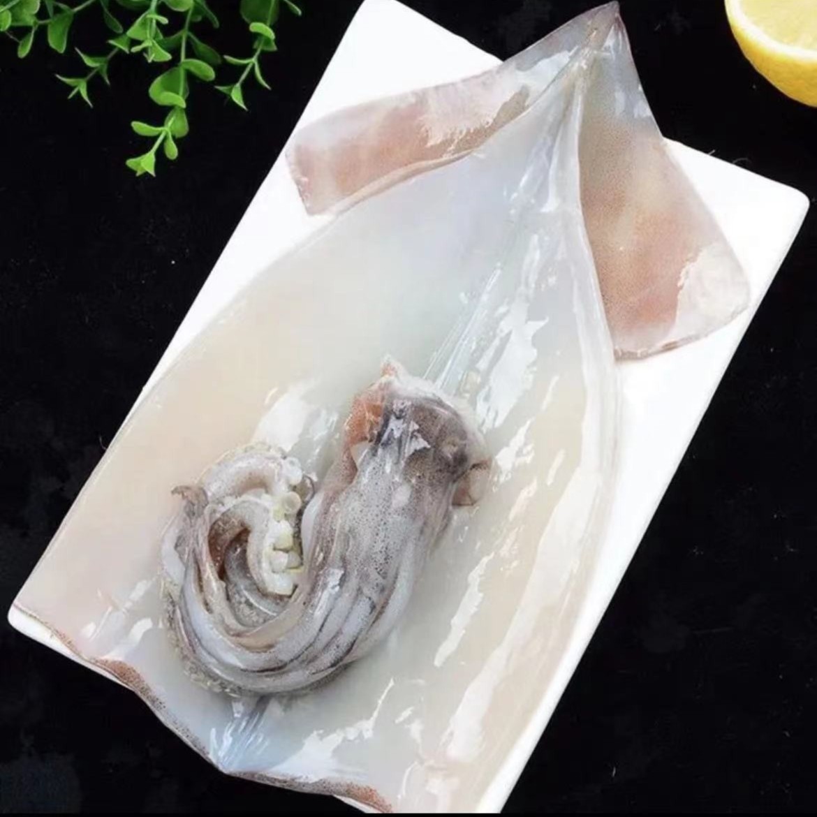 大连本地大鱿鱼【6-8两/条】